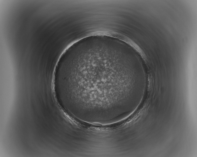 X0000116451020200912081614