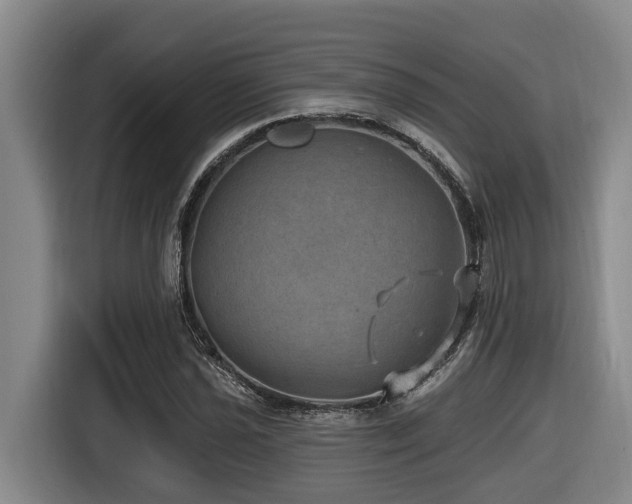 X0000116451021200912081614