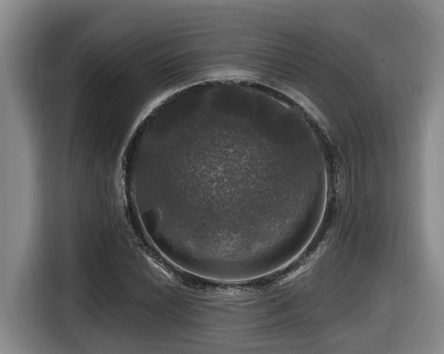 X0000116451022200912081614