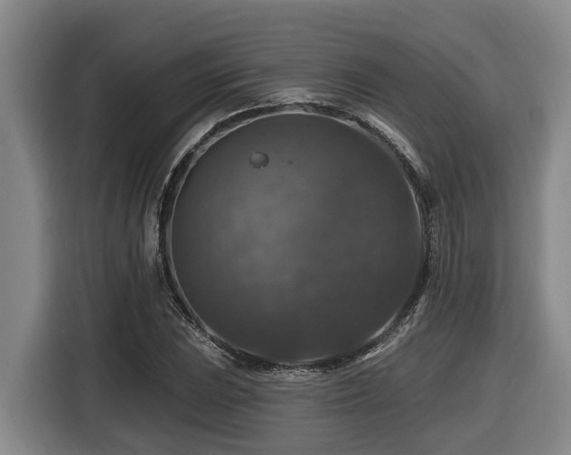 X0000116451023200912081614