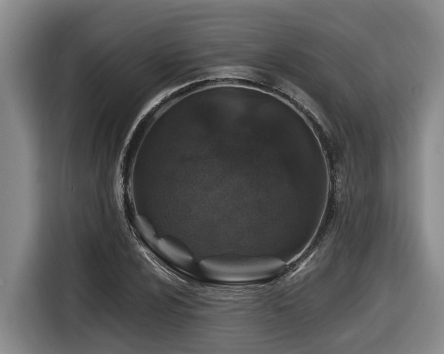X0000116451024200912081614