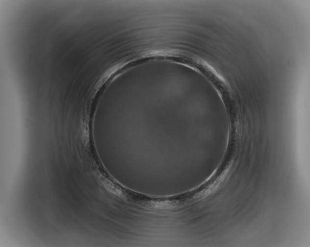 X0000116451025200912081614