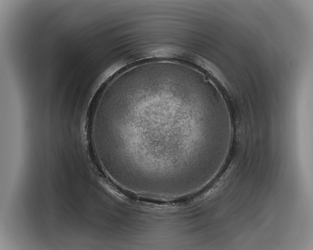 X0000116451026200912081614