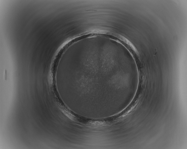 X0000116451027200912081614