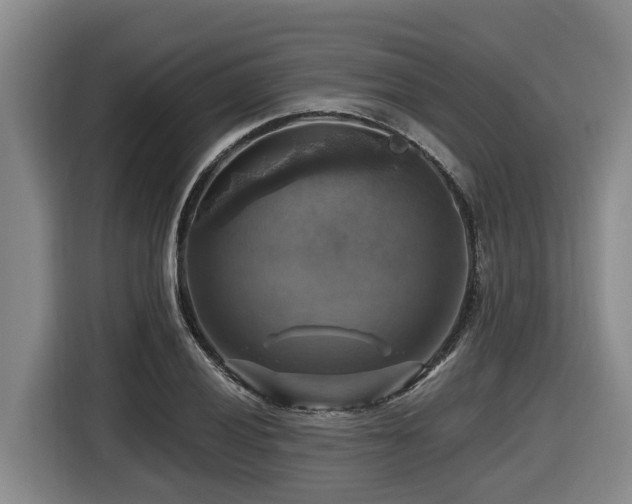 X0000116451028200912081614