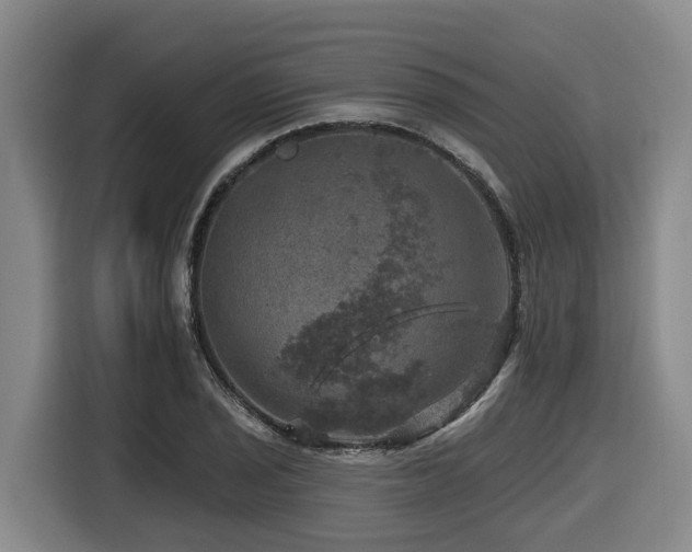 X0000116451029200912081614