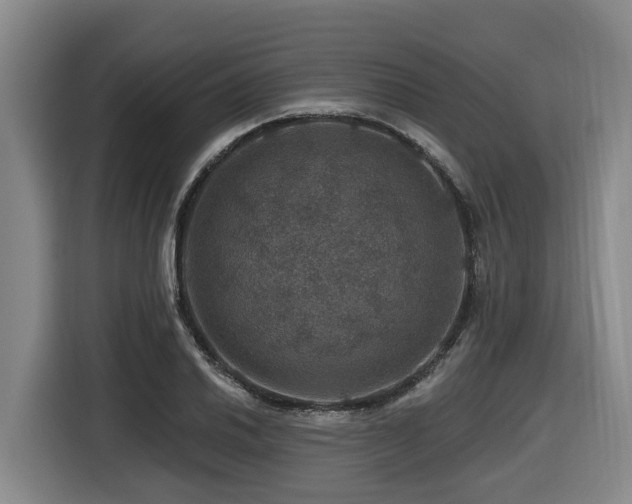 X0000116451030200912081614