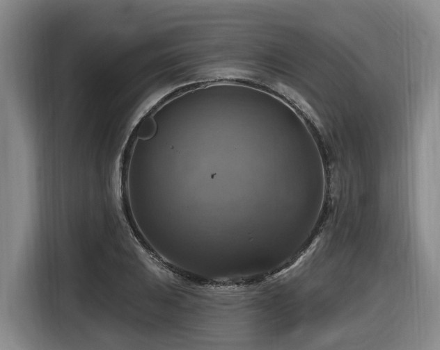 X0000116451031200912081614