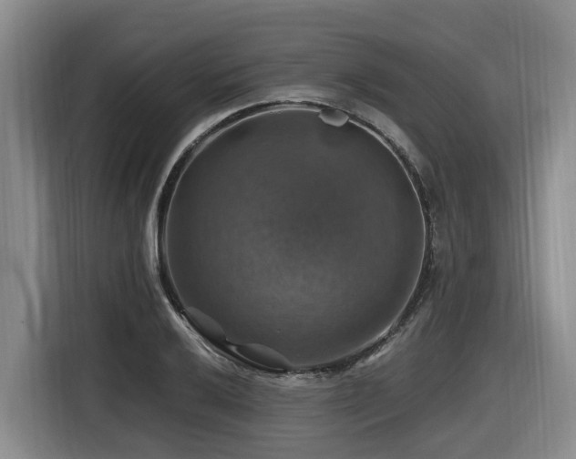 X0000116451032200912081614