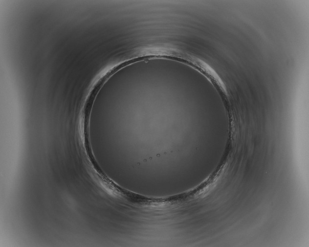 X0000116451035200912081614