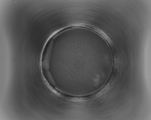 X0000116451036200912081614