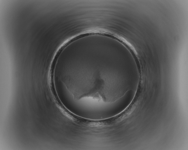 X0000116451037200912081614