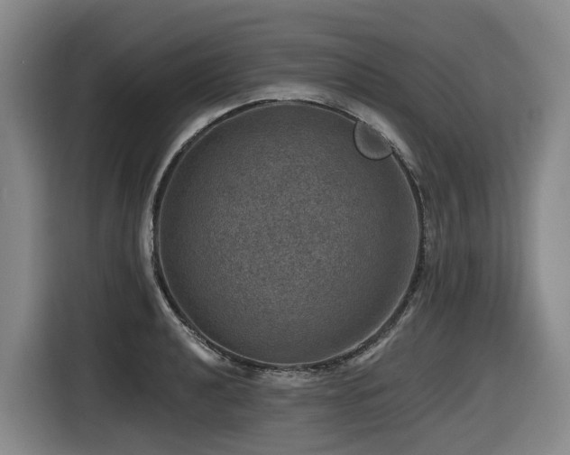 X0000116451040200912081614