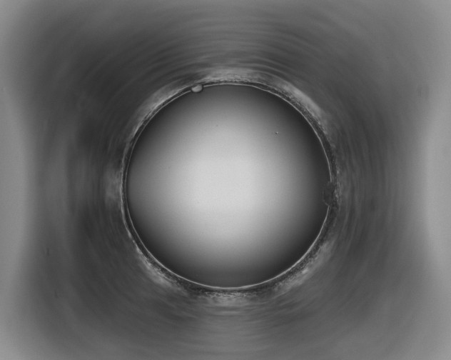 X0000116451041200912081614