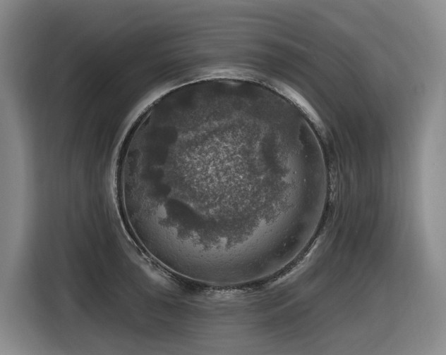 X0000116451043200912081614