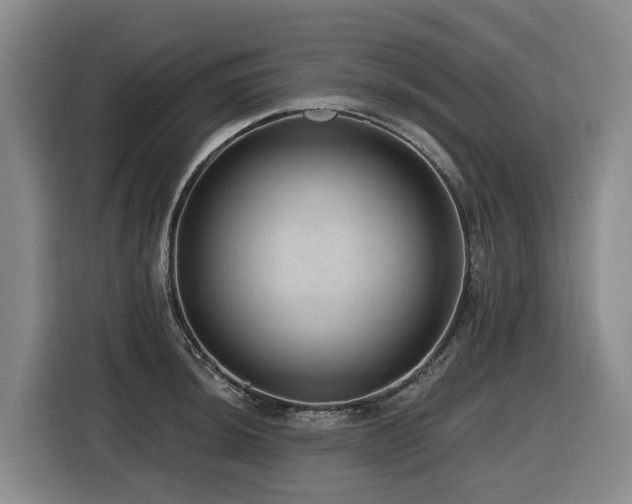 X0000116451044200912081614