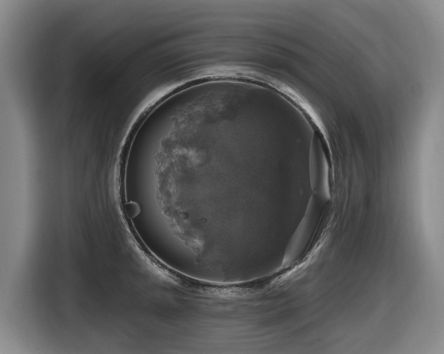 X0000116451045200912081614