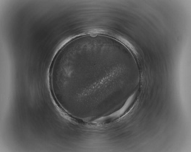 X0000116451047200912081614