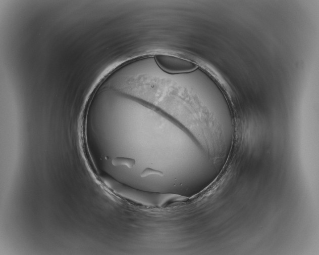 X0000116451048200912081614