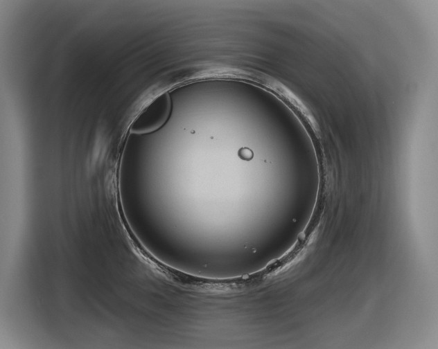 X0000116451049200912081614
