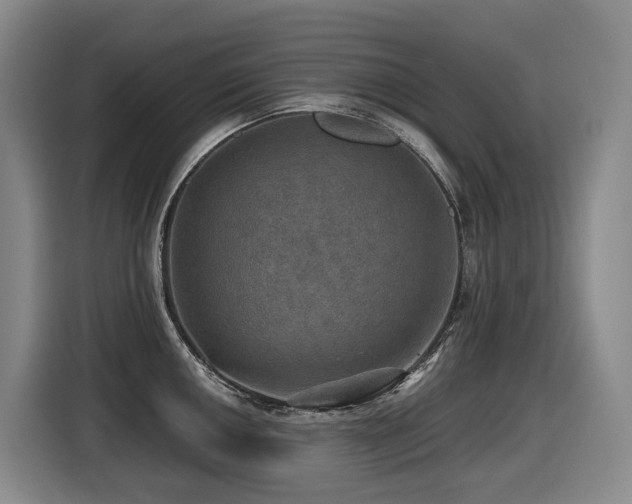 X0000116451050200912081614