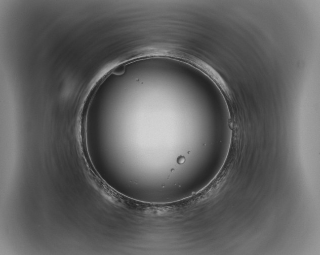 X0000116451051200912081614