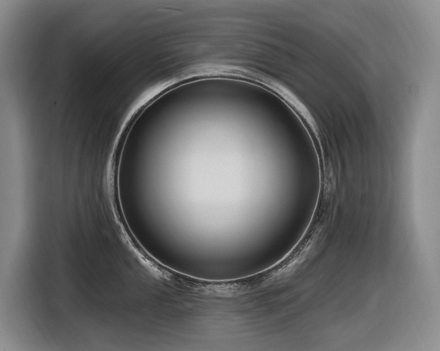 X0000116451053200912081614