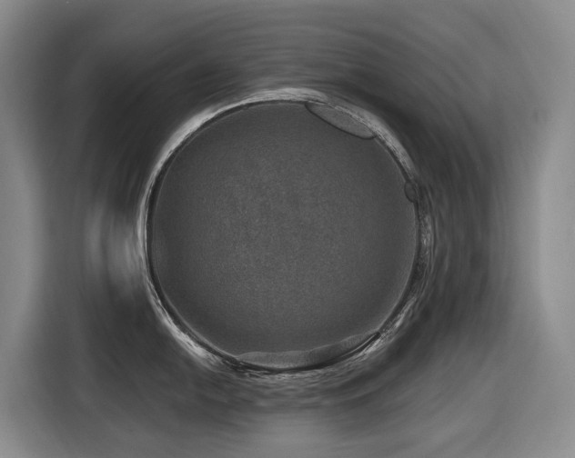 X0000116451054200912081614
