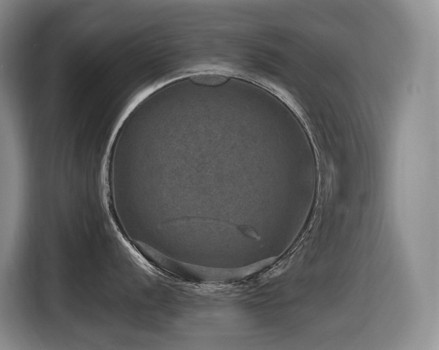 X0000116451056200912081614
