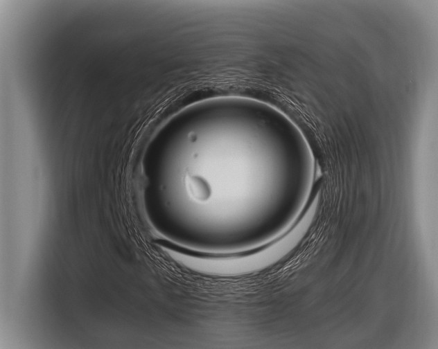 X0000116451057200912081613