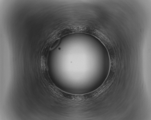 X0000116451058200912081613