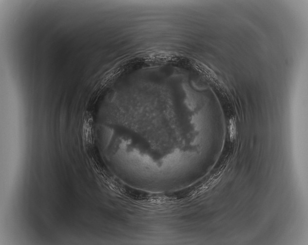 X0000116451059200912081613