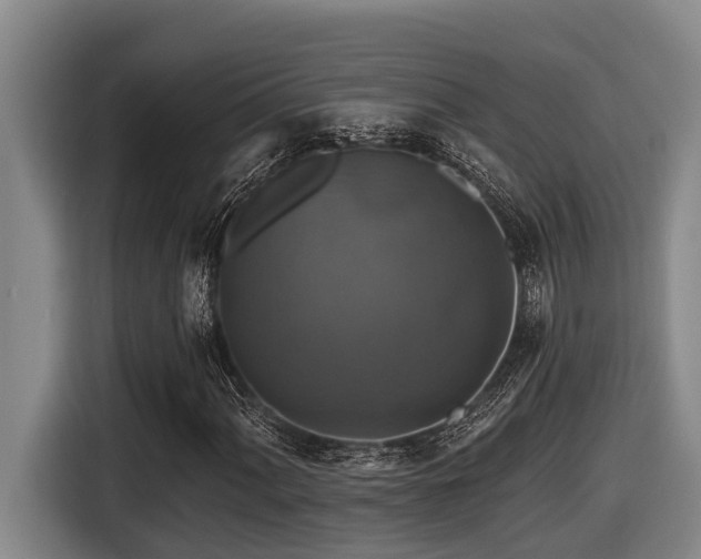 X0000116451060200912081613