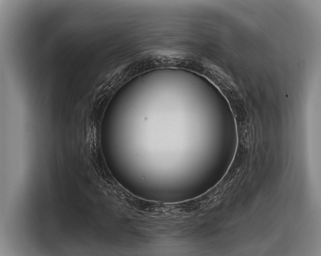 X0000116451061200912081613