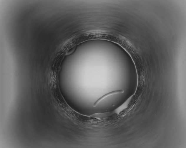 X0000116451062200912081613