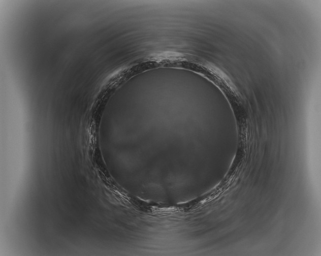 X0000116451063200912081613