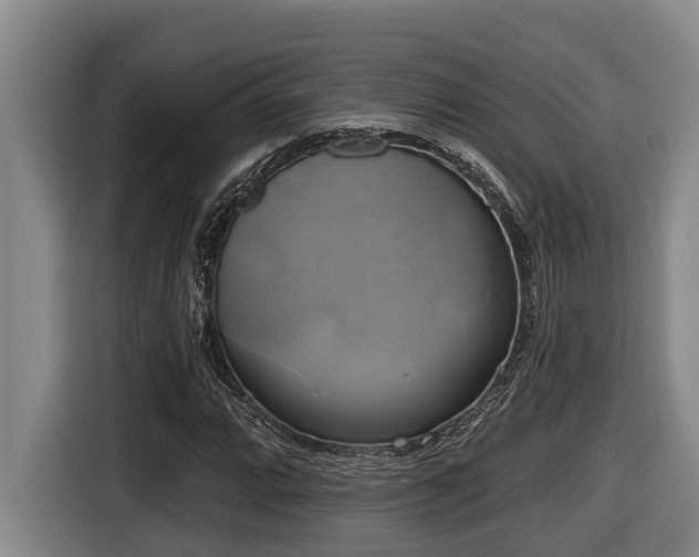 X0000116451064200912081613