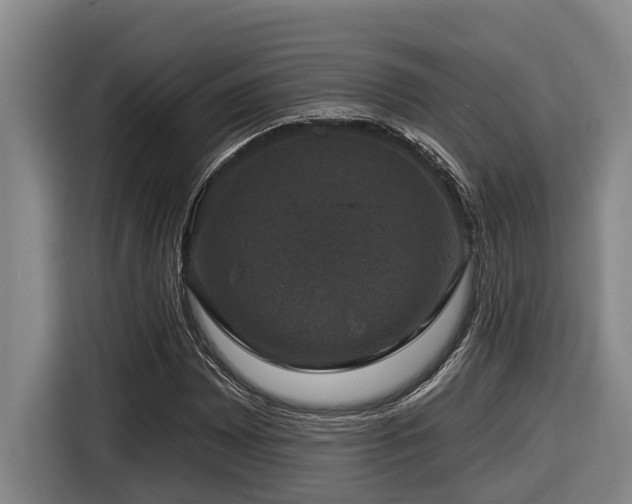 X0000116451065200912081613