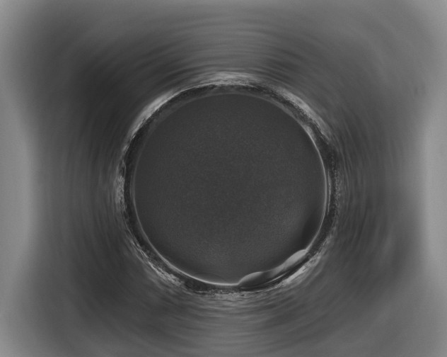 X0000116451066200912081613