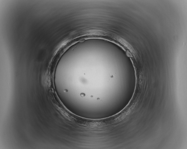 X0000116451067200912081613