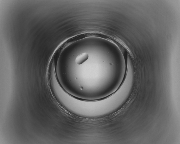 X0000116451068200912081613