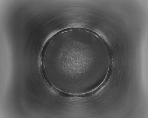 X0000116451070200912081613