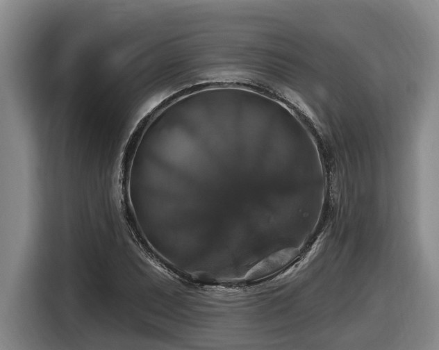 X0000116451071200912081613