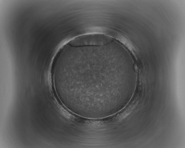 X0000116451072200912081613