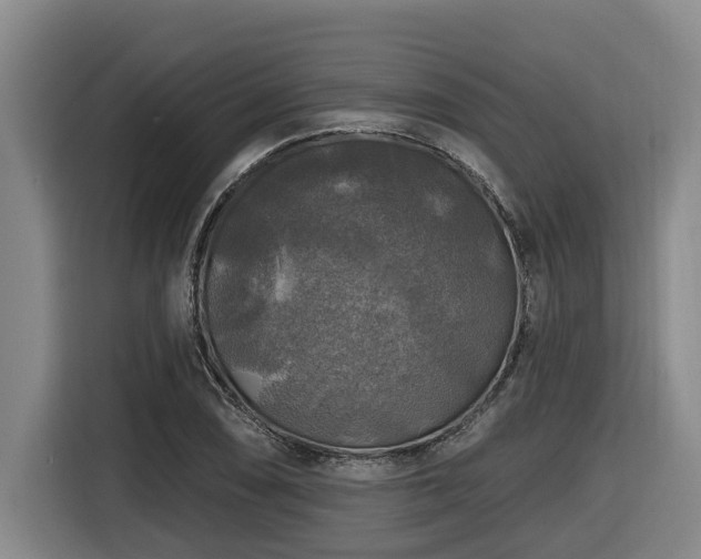 X0000116451074200912081613