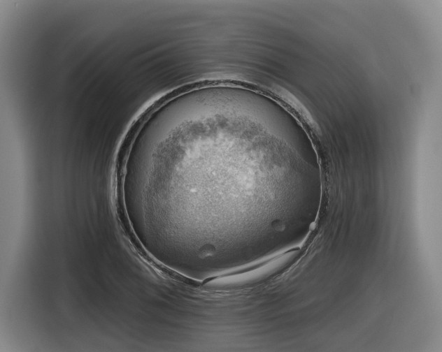 X0000116451076200912081613