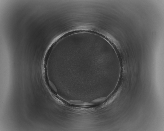 X0000116451077200912081613