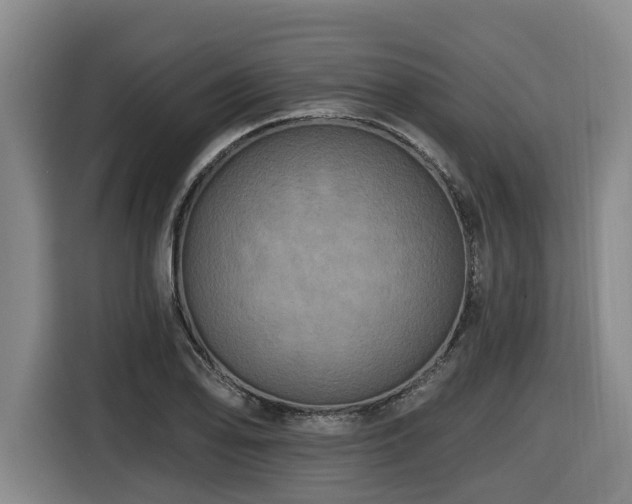 X0000116451078200912081613