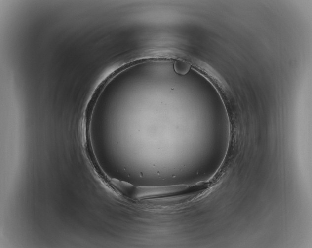 X0000116451079200912081613