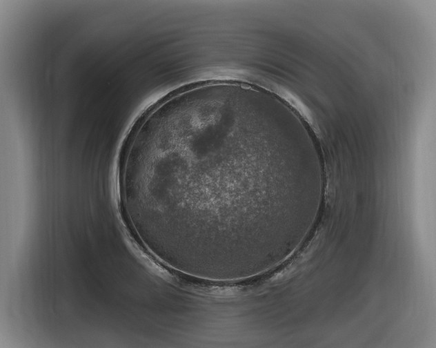X0000116451080200912081613